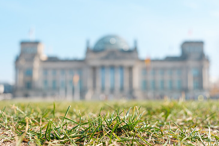 Wie wird der Bundeshaushalt 2022 aussehen? Öffentliche Ausschreibungen auch 2022 als Chance auf neue Aufträge?